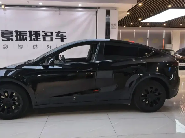 Tesla Model Y — Фото автомобиля 2