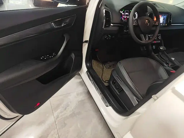Skoda Karoq — Фото автомобиля 15