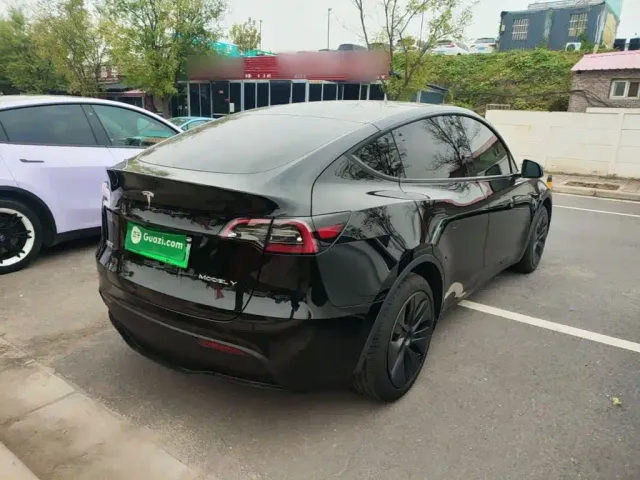 Tesla Model Y — Фото автомобиля 6