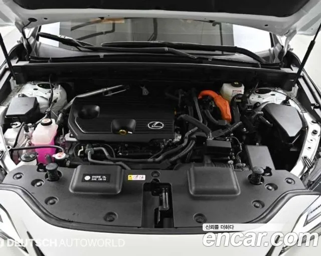 Lexus NX — Фото автомобиля 6