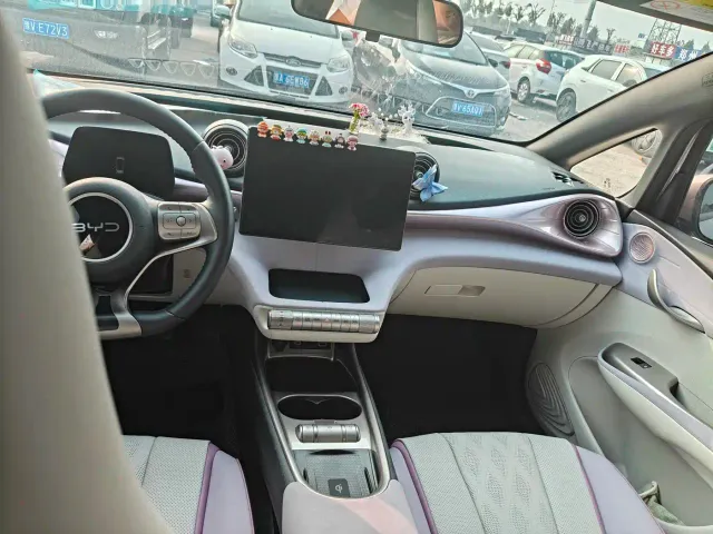 BYD Dolphin — Фото автомобиля 6