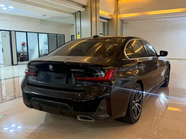 BMW 3 Series — Фото автомобиля 10