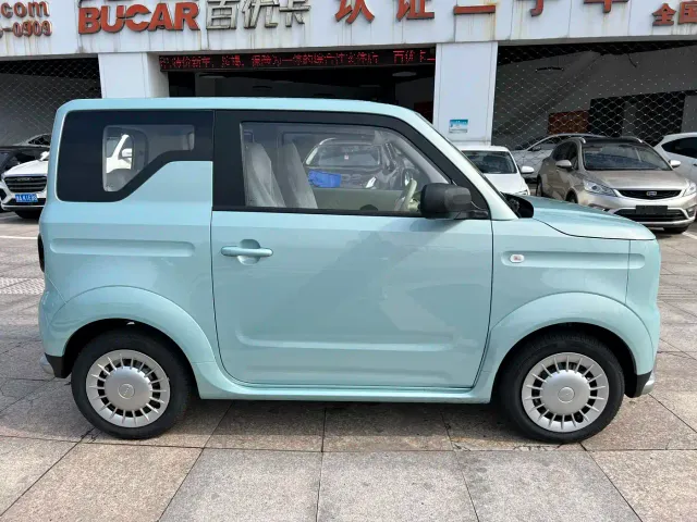 Livan Ruilan Blue Elf — Фото автомобиля 3