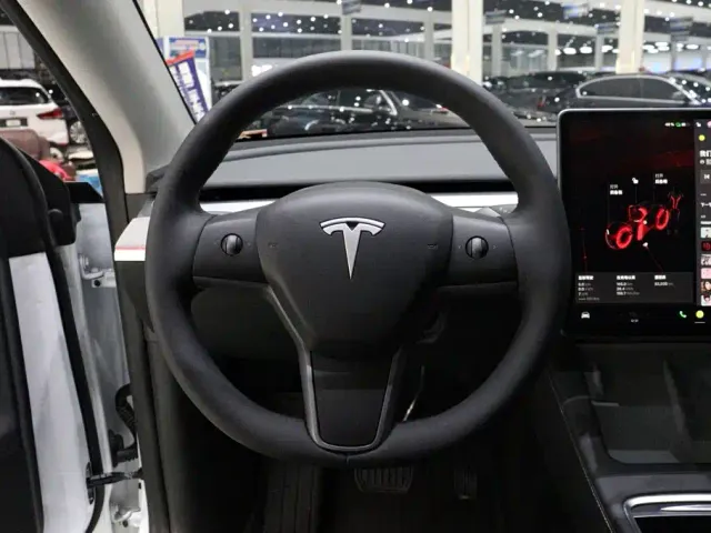 Tesla Model Y — Фото автомобиля 13