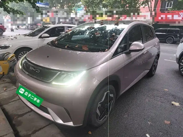 Фотография автомобиля — BYD Dolphin