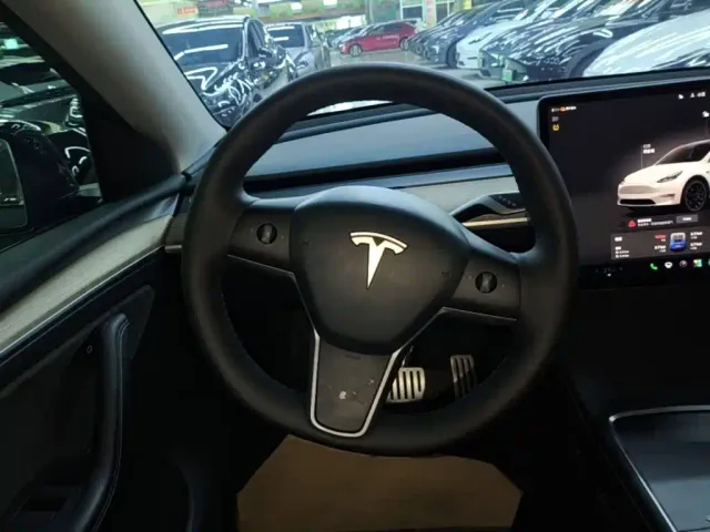 Tesla Model Y — Фото автомобиля 10