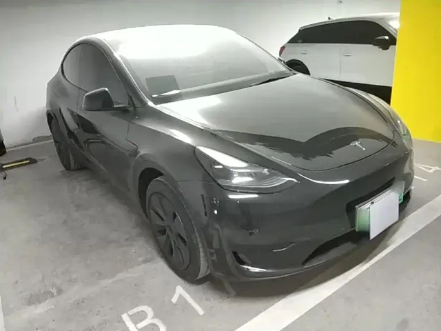 Tesla Model Y — Фото автомобиля 3