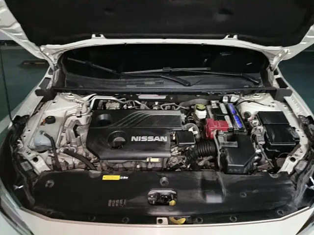 Nissan Sylphy — Фото автомобиля 3