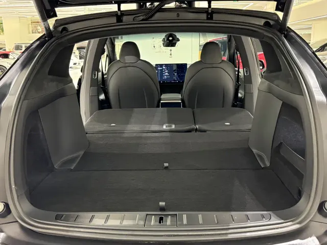 Tesla Model X — Фото автомобиля 18