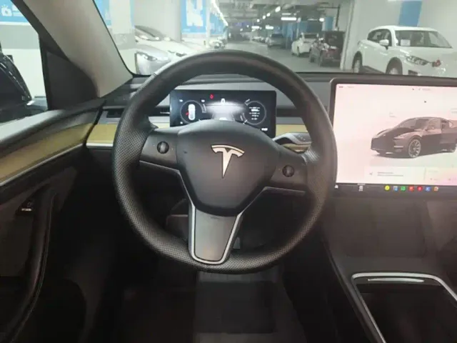 Tesla Model Y — Фото автомобиля 10