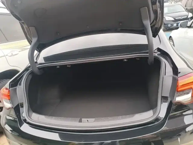 Buick Regal — Фото автомобиля 18
