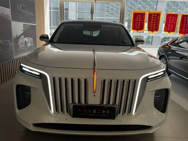 Hongqi E-HS9 — Фото автомобиля 17