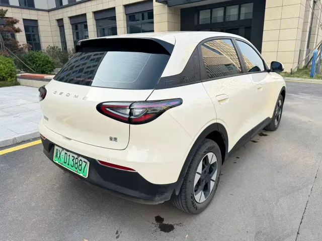 Geely Starry Wish — Фото автомобиля 9