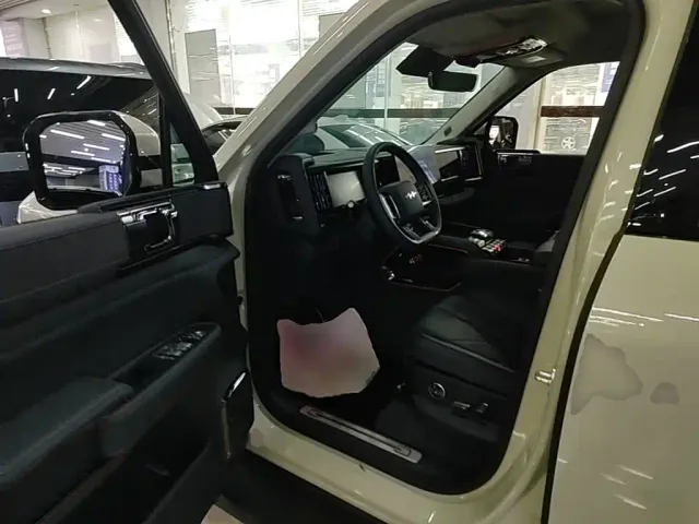 BYD FangChengBao Leopard 5 — Фото автомобиля 15