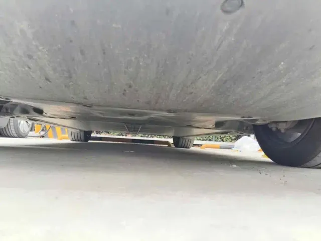 Tesla Model Y — Фото автомобиля 10