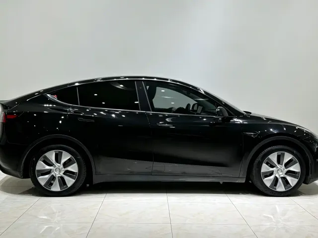 Tesla Model Y — Фото автомобиля 4
