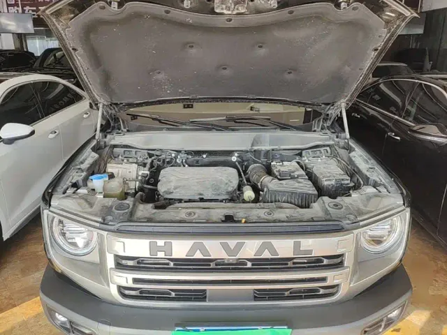 Haval Big Dog — Фото автомобиля 19