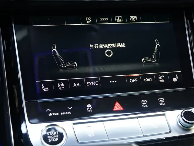 Audi A8 — Фото автомобиля 19