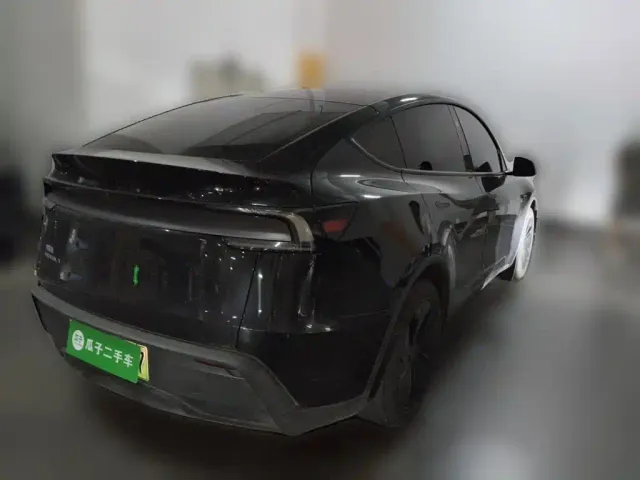 Tesla Model Y — Фото автомобиля 4