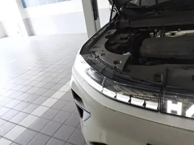 Haval Xiaolong MAX — Фото автомобиля 10