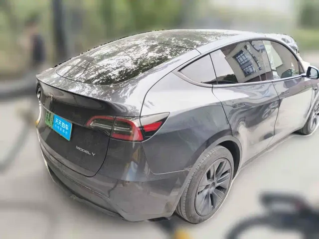 Tesla Model Y — Фото автомобиля 2