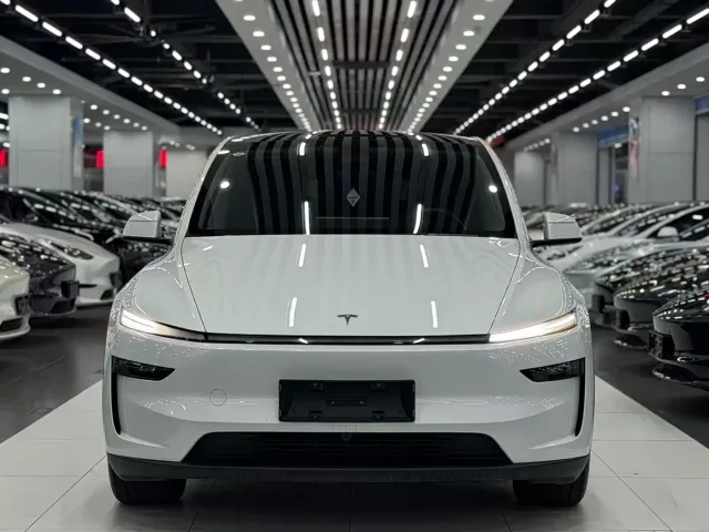 Tesla Model Y — Фото автомобиля 2