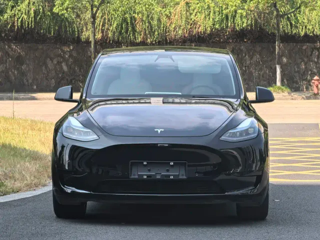 Tesla Model Y — Фото автомобиля 2