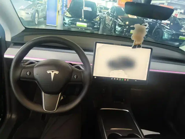 Tesla Model Y — Фото автомобиля 9