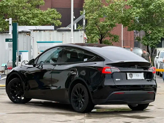 Tesla Model Y — Фото автомобиля 12