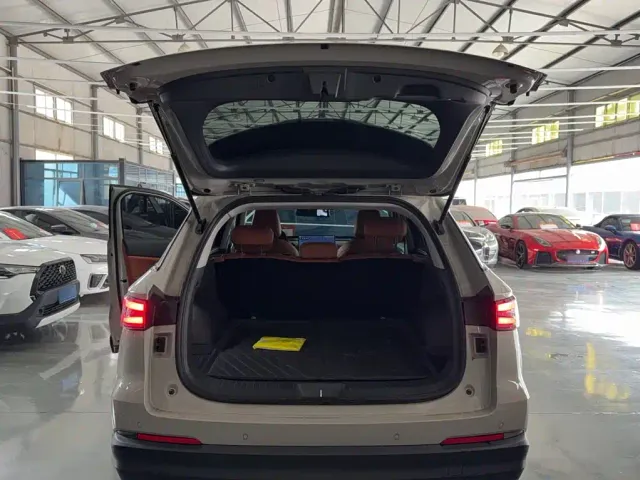 Haval Xiaolong MAX — Фото автомобиля 11