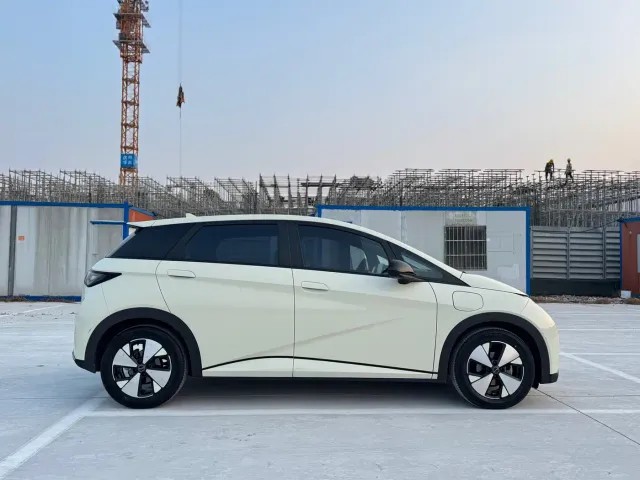 BYD Dolphin — Фото автомобиля 4