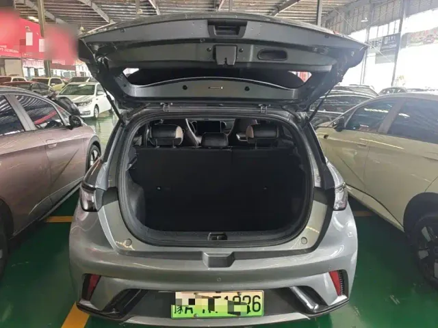 BYD Dolphin — Фото автомобиля 18
