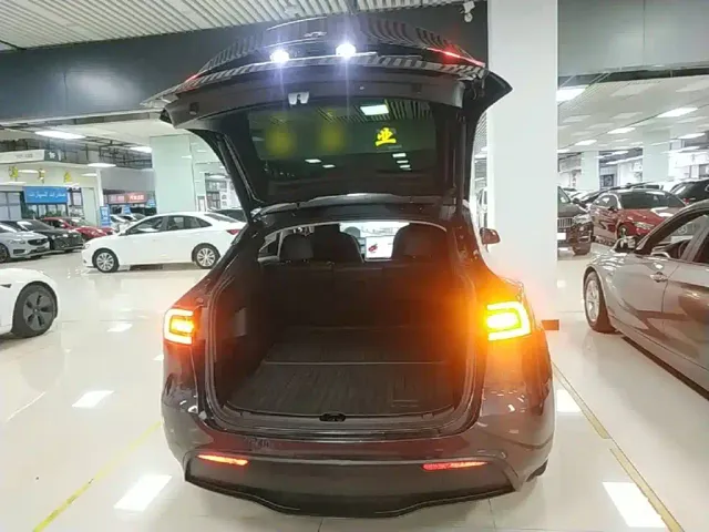 Tesla Model Y — Фото автомобиля 18
