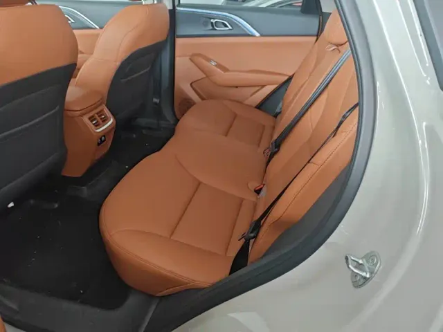 Haval Xiaolong MAX — Фото автомобиля 16
