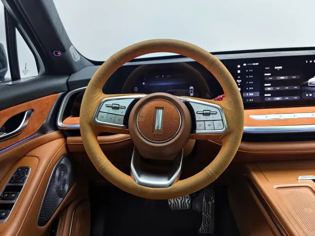 Wey Lanshan — Фото автомобиля 11