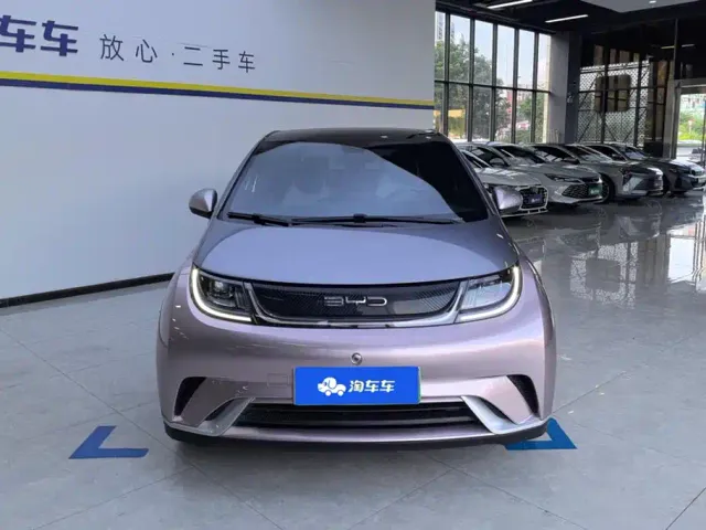 BYD Dolphin — Фото автомобиля 2
