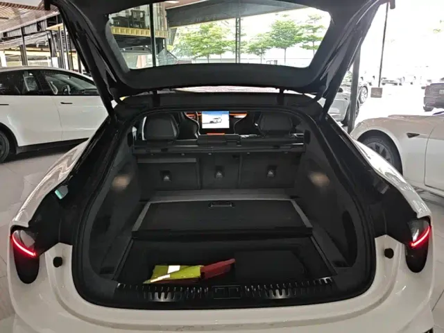 Lotus Emeya — Фото автомобиля 18