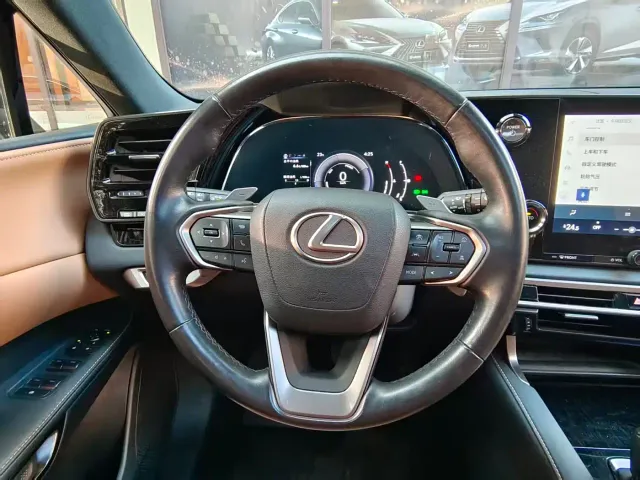 Lexus RX — Фото автомобиля 10