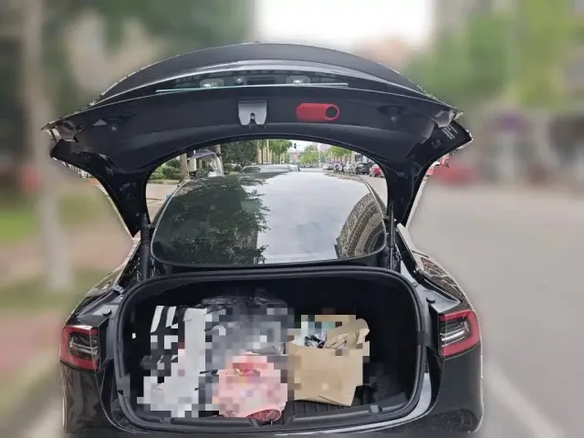 Tesla Model 3 2021 Second Facelift Performance High-Performance AWD Version — Фото автомобиля 9