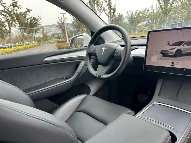 Tesla Model Y — Фото автомобиля 11