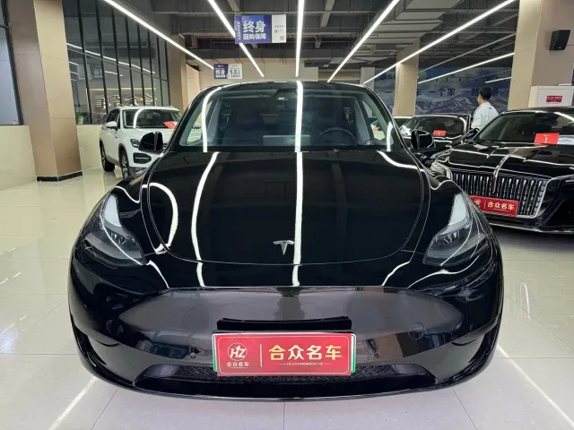 Tesla Model Y — Фото автомобиля 2