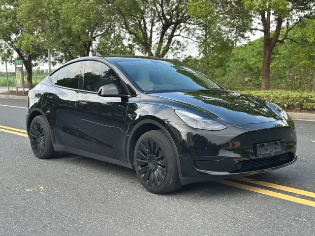 Tesla Model Y — Фото автомобиля 3
