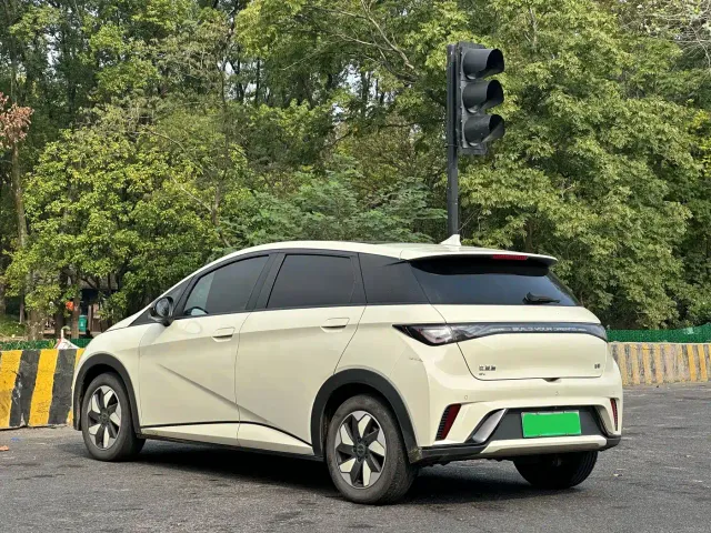 BYD Dolphin — Фото автомобиля 5