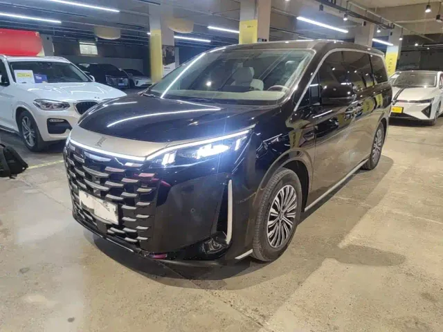 Фотография автомобиля — BYD Xia