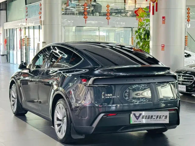 Tesla Model Y — Фото автомобиля 7