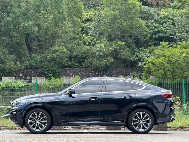 BMW X6 — Фото автомобиля 14