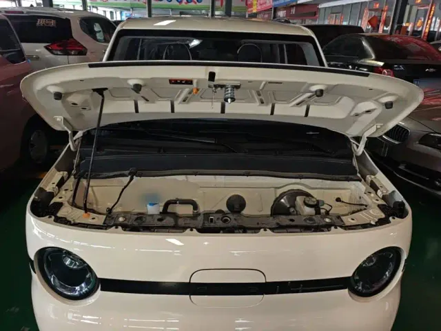 Geely Galaxy Panda 2025 Panda mini 210km Vitality Bear — Фото автомобиля 15