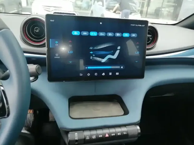 BYD Dolphin 2021 401km Knight Edition — Фото автомобиля 8