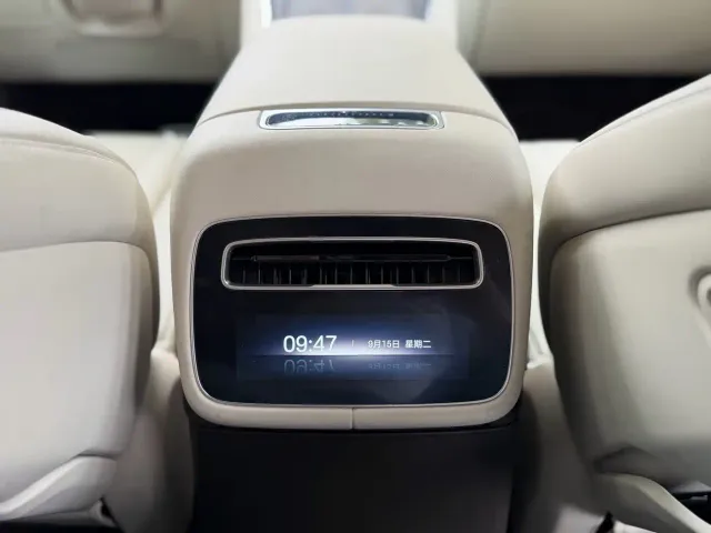 Denza N9 — Фото автомобиля 16