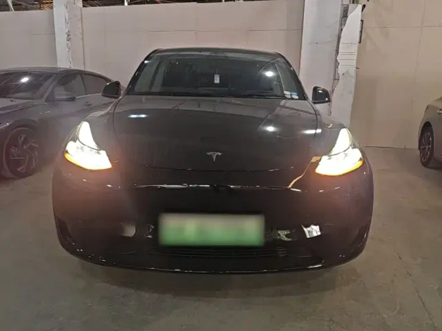 Tesla Model Y — Фото автомобиля 2
